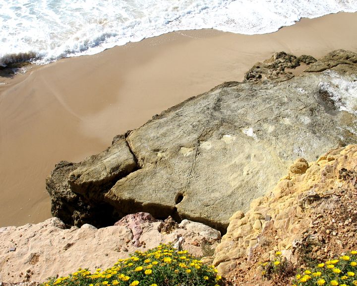 Dinosaur footprints in Jurassic Sandstone Salema