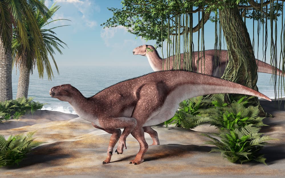 Iguanodon dinossaur representation.